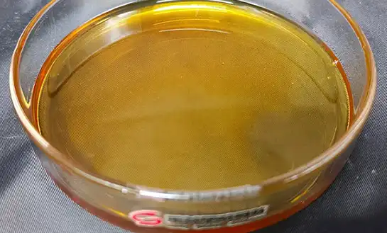 Revitalizing Roots in Saline Soils with Growth Promoters